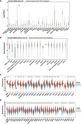 Multi-omics analysis of N6-methyladenosine reader IGF2BP3 as a promising biomarker in pan-cancer